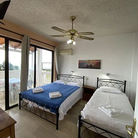 Andromaches Large 2 *